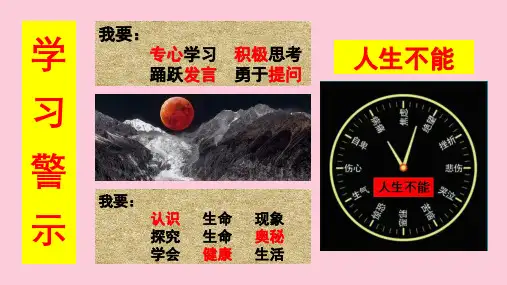 济南版七年级生物上册  2.2.4  动物的行为 课件(26张PPT)