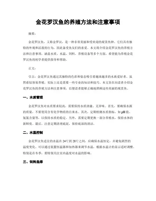 金花罗汉鱼的养殖方法和注意事项