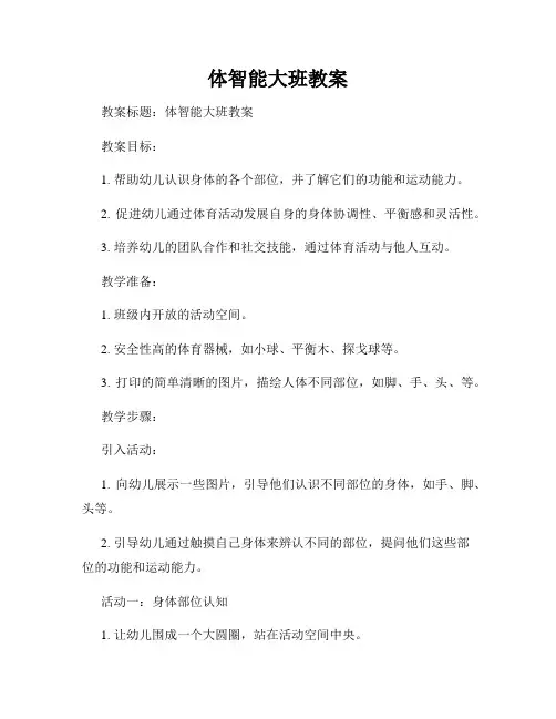 体智能大班教案