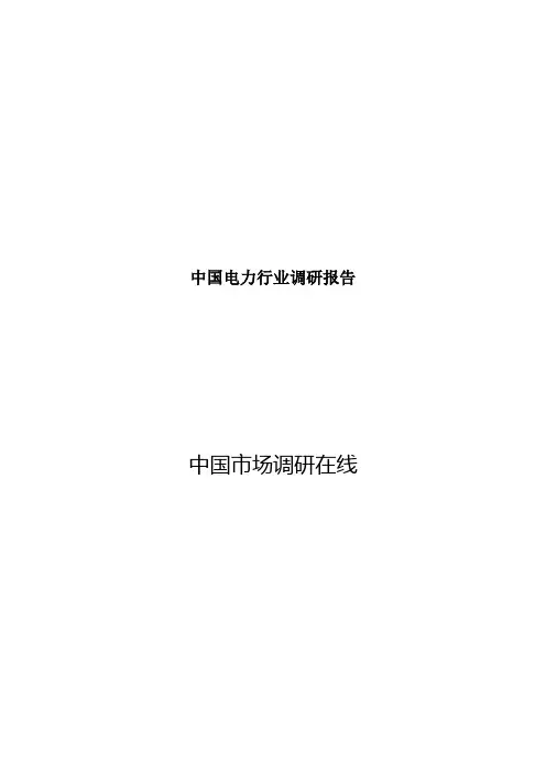中国电力行业调研报告