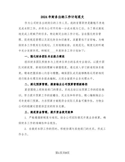 2024年财务出纳工作计划范文（五篇）