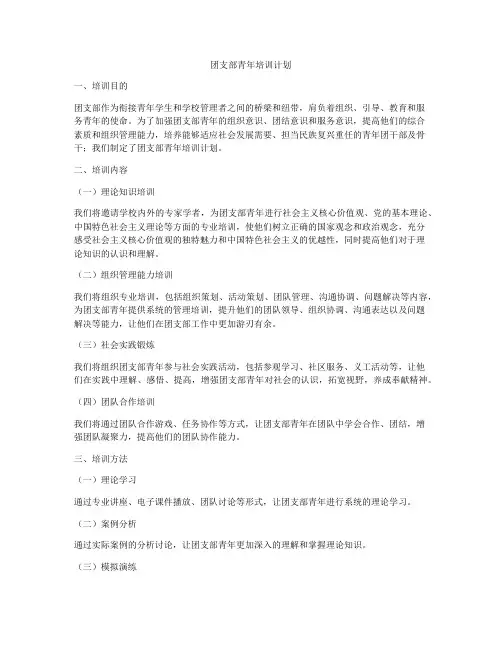 团支部青年培训计划