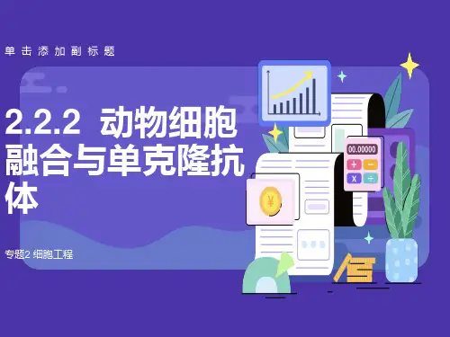 动物细胞工程ppt