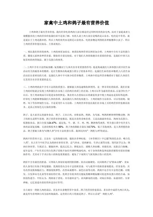 家禽中土鸡和鸽子最有营养价值