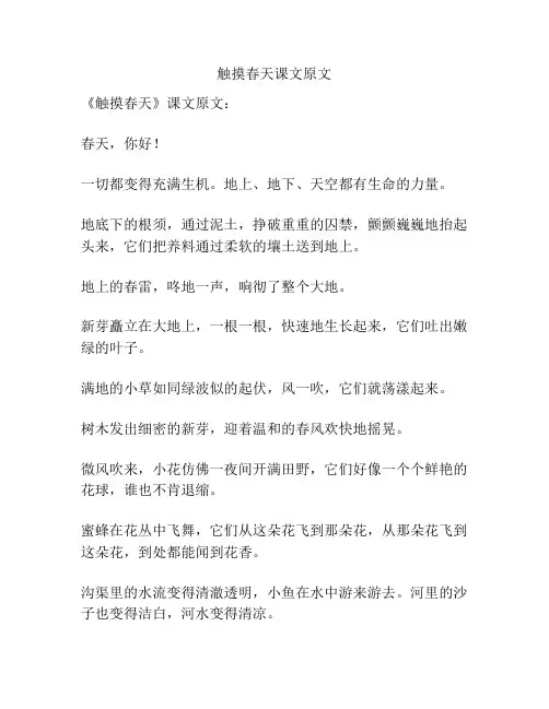 触摸春天课文原文