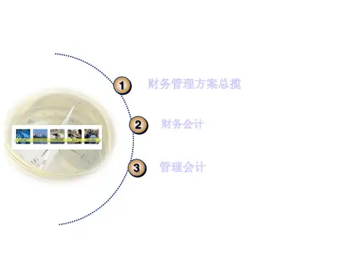 SAPR3功能简介财务管理系统