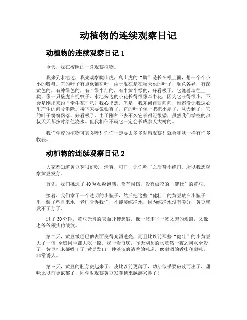 动植物的连续观察日记
