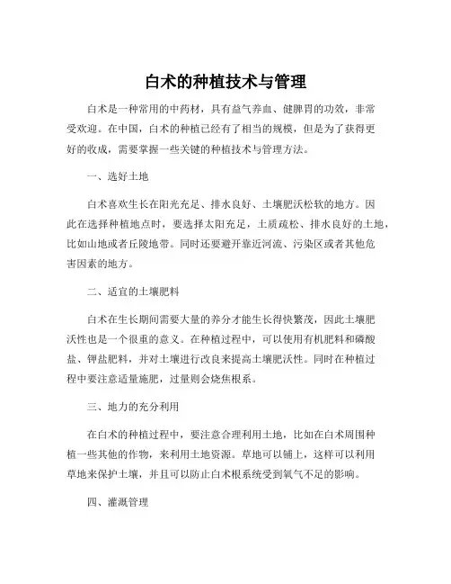 白术的种植技术与管理
