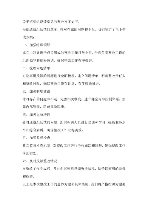 关于巡察组反馈意见的整改方案