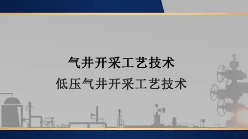采气井站生产与管理：低压气井开采工艺技术