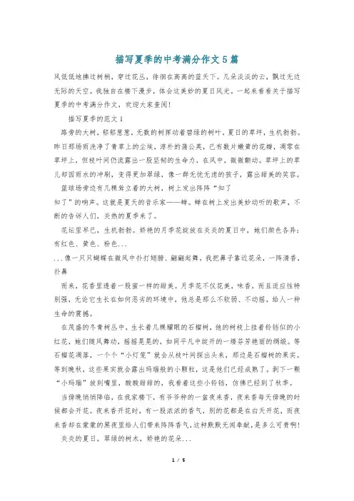 描写夏季的中考满分作文5篇