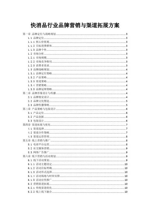 快消品行业品牌营销与渠道拓展方案