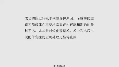 经皮肾镜取石术并发症PPT课件