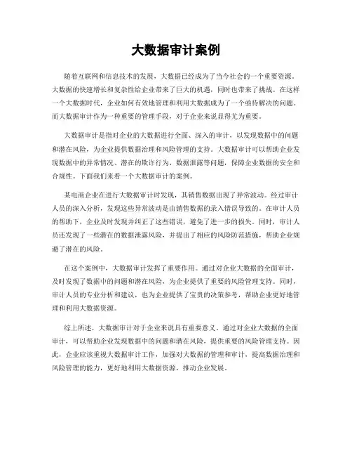 大数据审计案例