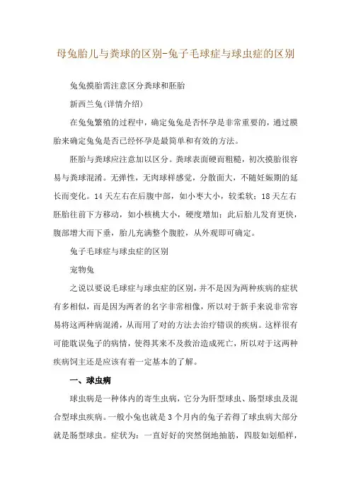 母兔胎儿与粪球的区别-兔子毛球症与球虫症的区别