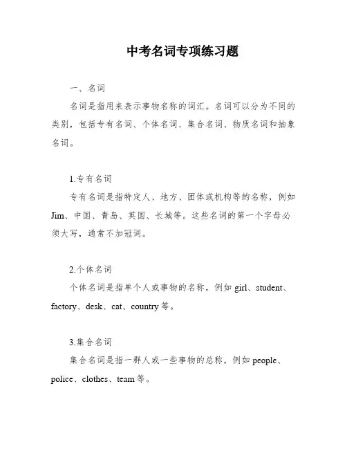 中考名词专项练习题