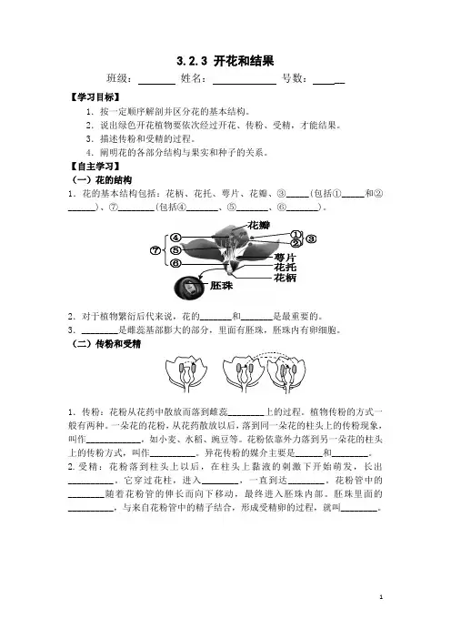 3.第三节  开花和结果导学案