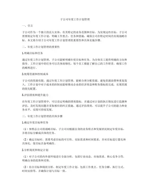 子公司年度工作计划管理