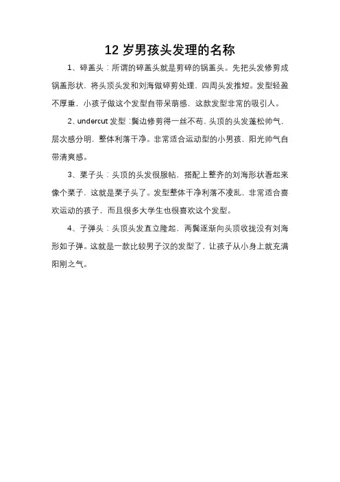 12岁男孩头发理的名称