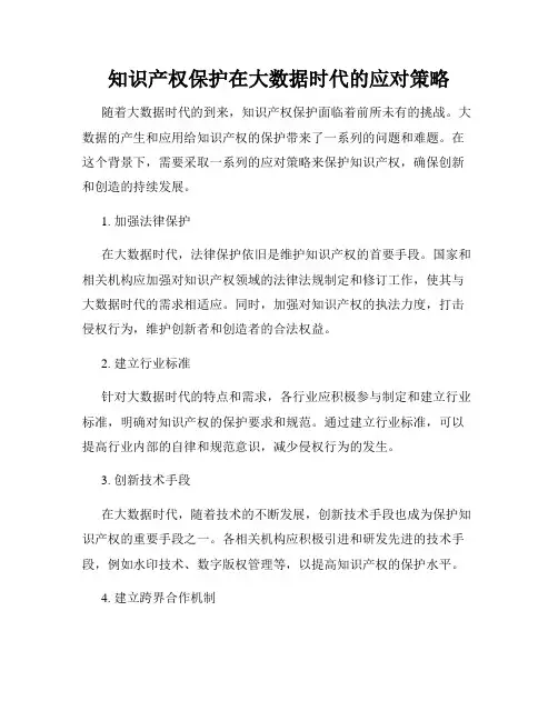 知识产权保护在大数据时代的应对策略