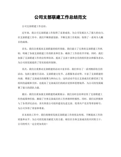 公司支部联建工作总结范文