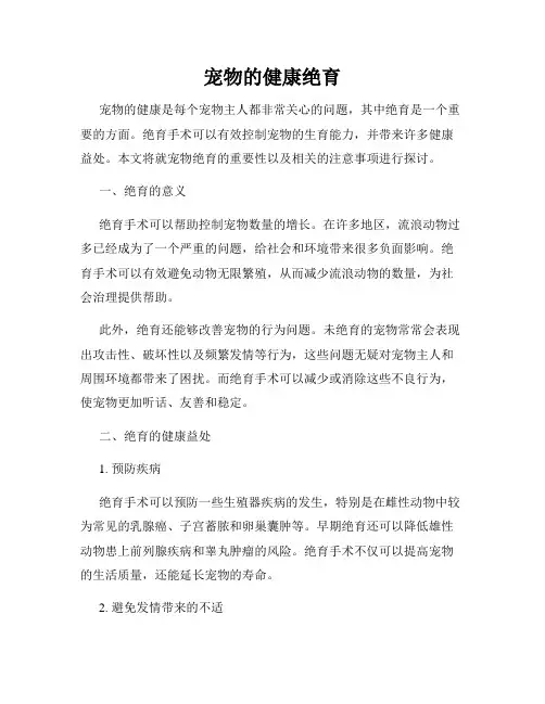 宠物的健康绝育