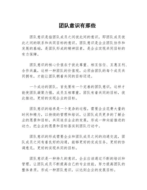 团队意识有那些