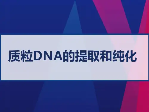 质粒DNA的提取和纯化  PPT