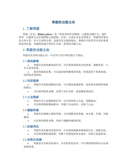 荜拨的功能主治