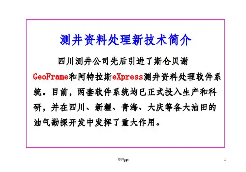 测井常用软件说明