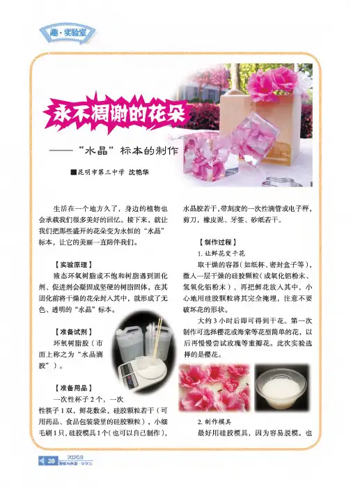 永不凋谢的花朵——“水晶”标本的制作