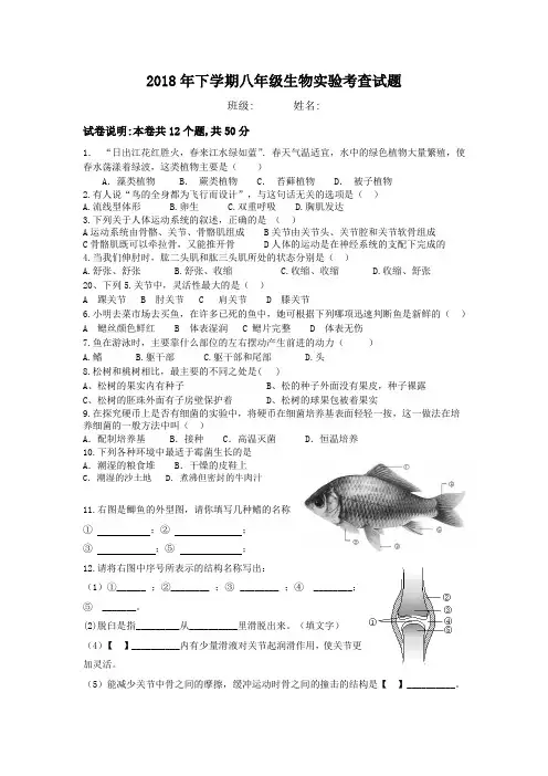 2018年八年级生物实验考核试题