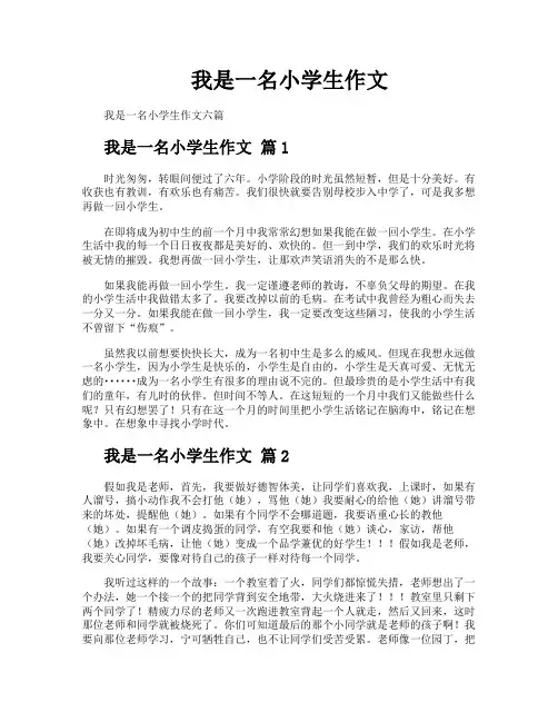 我是一名小学生作文