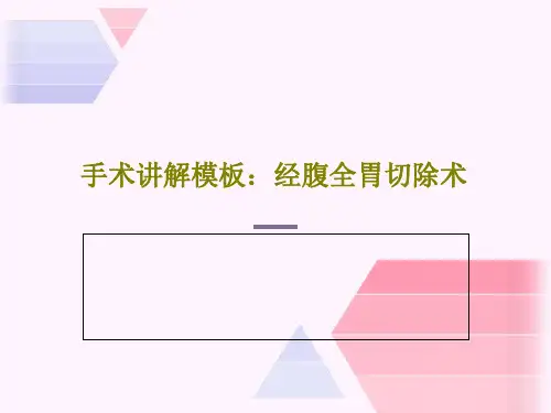 手术讲解模板：经腹全胃切除术PPT文档58页