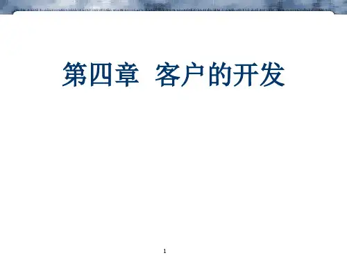 客户的开发ppt课件