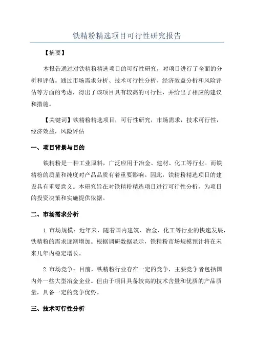 铁精粉精选项目可行性研究报告