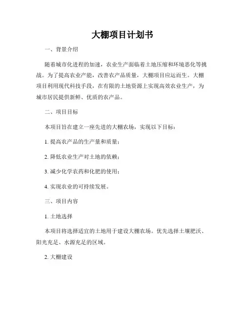 大棚项目计划书