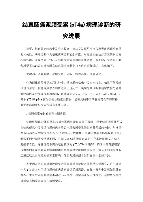 结直肠癌浆膜受累(pT4a)病理诊断的研究进展