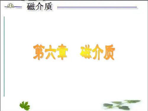 第六章-磁介质概要