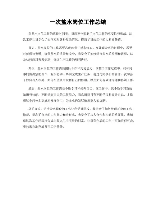 一次盐水岗位工作总结