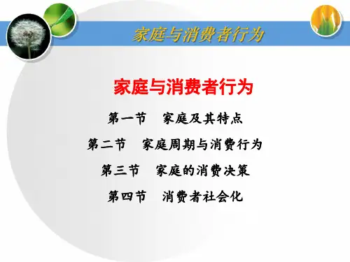 消费者行为学：家庭与消费者行为
