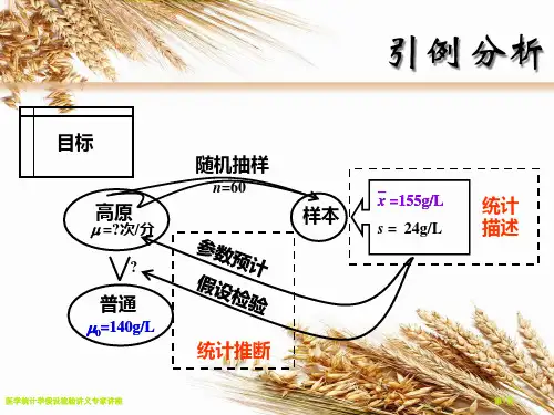 医学统计学假设检验讲义专家讲座