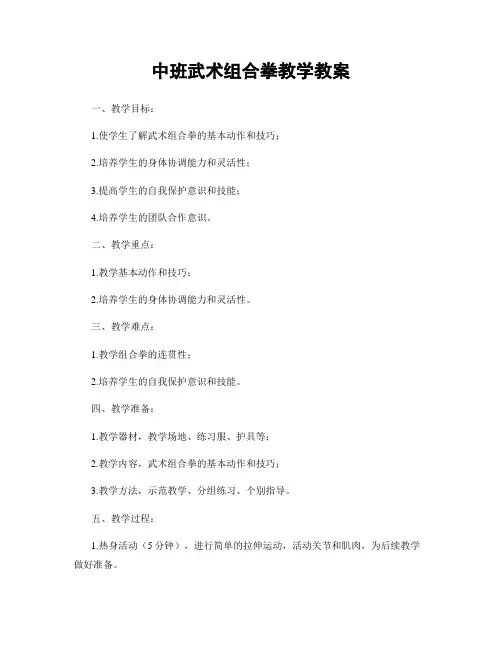 中班武术组合拳教学教案
