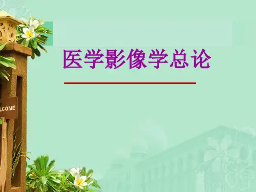 影像影像学总论,第七版