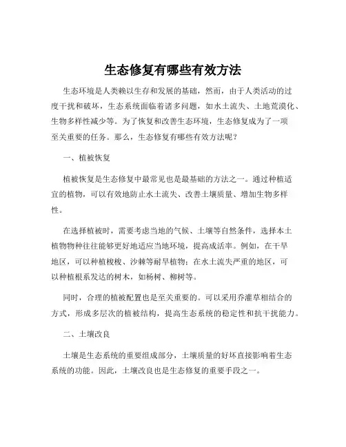 生态修复有哪些有效方法