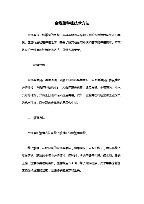 金线莲种植技术方法