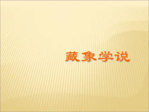 藏象学说ppt课件