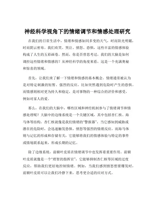 神经科学视角下的情绪调节和情感处理研究