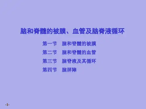 系统解剖学课件：脑、脊髓被膜、血管