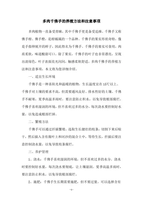多肉千佛手的养殖方法和注意事项